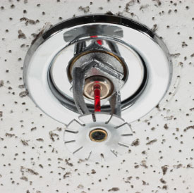 Fire Sprinkler System