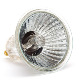 Halogen Light Safety